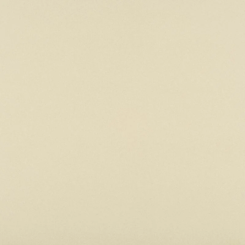 Calla® - Image 30