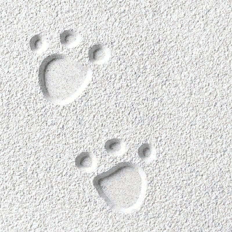 Cirrus® Themes™ Sample - Image 2