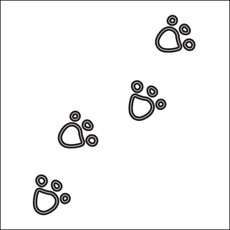 Cirrus® Themes™ Sample - Image 8
