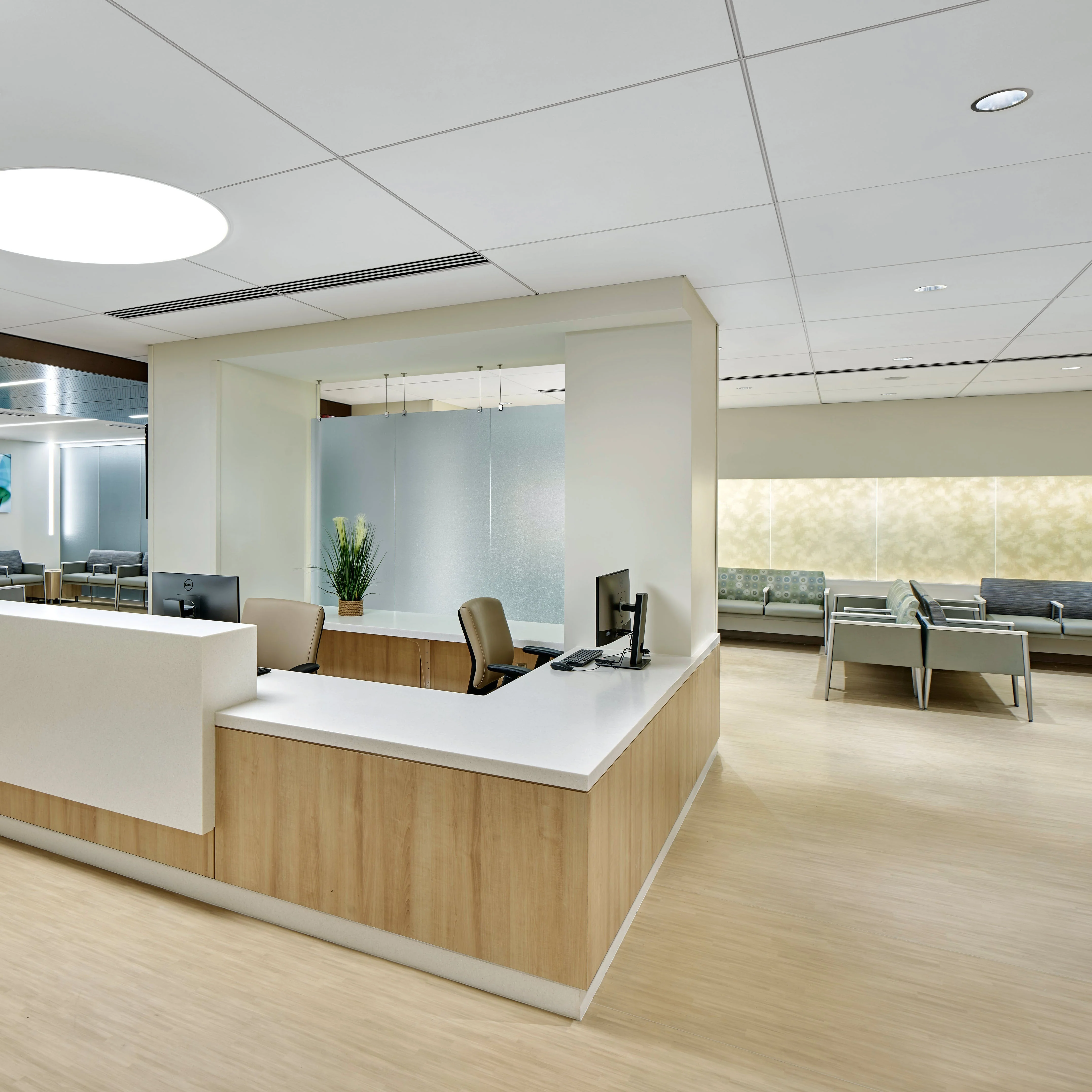 Lyra® Plant Based (PB) - Image 6
