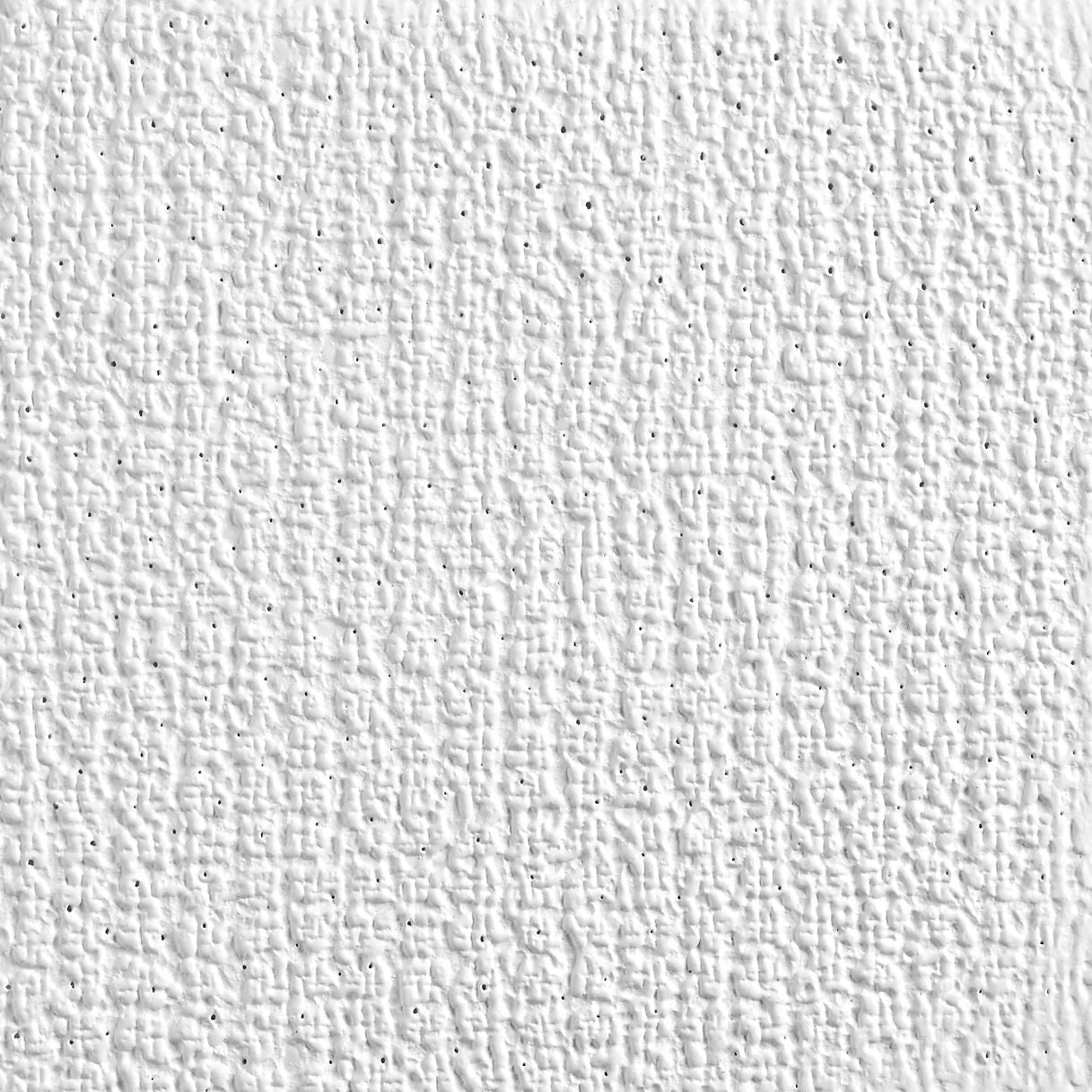 Shasta® (Acoustic) - Image 2