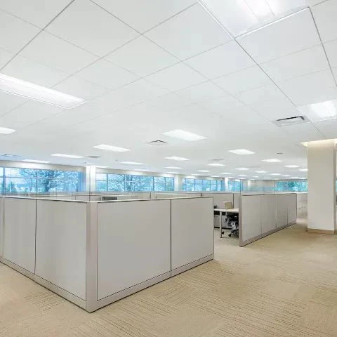 XL7368 - Image 2